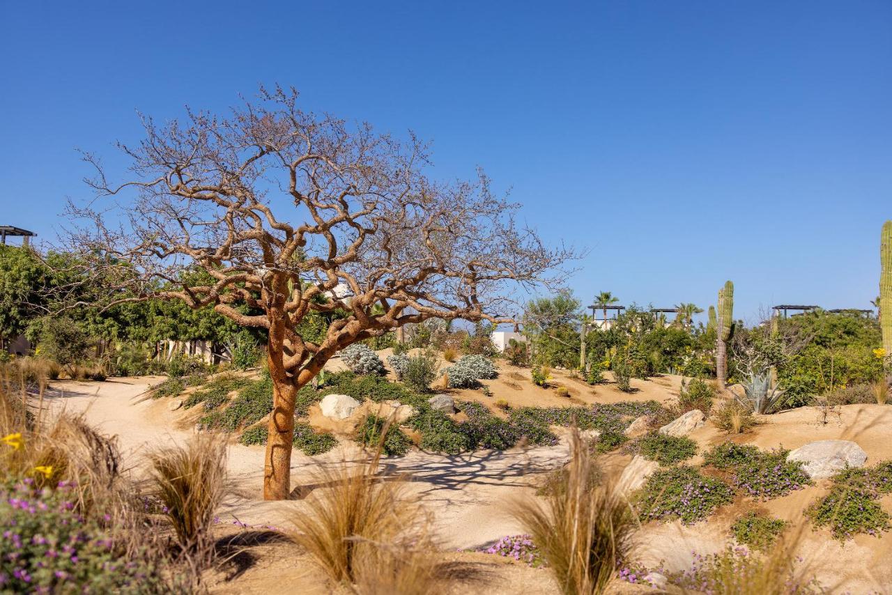 Kimpton Mas Olas Resort And Spa Todos Santos Zewnętrze zdjęcie